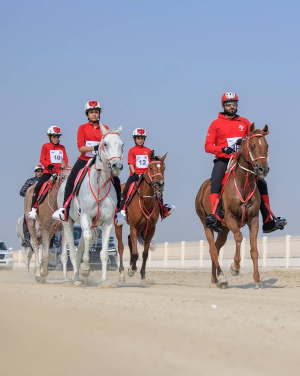 بتوجيهات ودعم ناصر بن حمد ... 3 سيارات جوائز لجمهور سباق الخيل على كأس سموه وأنجاله