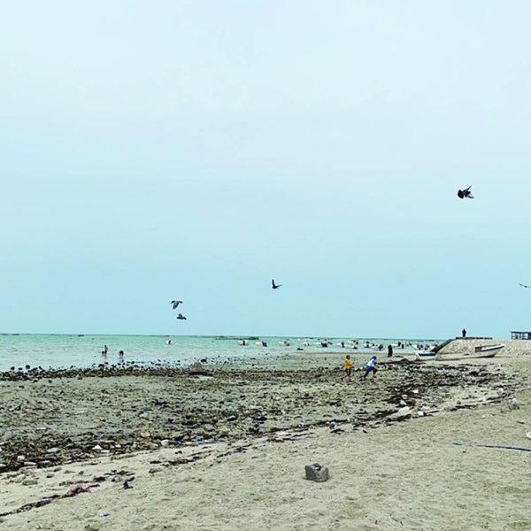 الصالح "للوطن": ساحل كرباباد مهمل ويجب تطويره