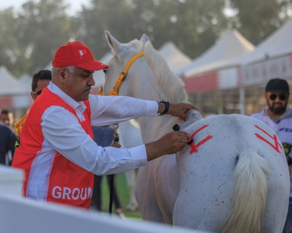 برعاية الملك.. انطلاق مهرجان كأس جلالة الملك للقدرة بأكبر جوائز مالية