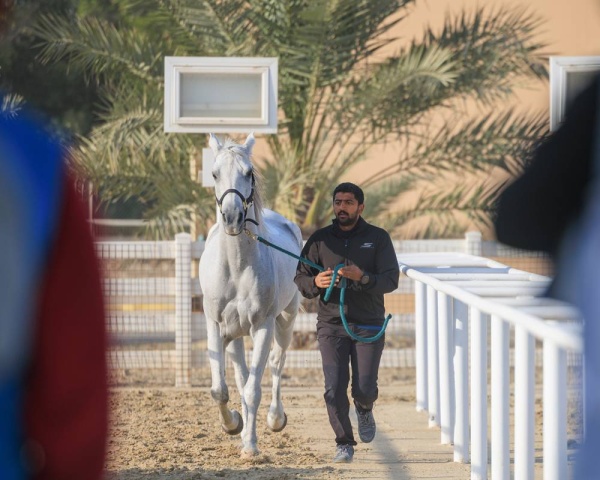 برعاية الملك.. انطلاق مهرجان كأس جلالة الملك للقدرة بأكبر جوائز مالية