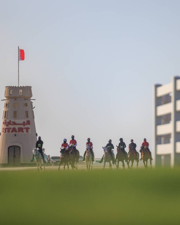 برعاية العاهل.. غداً السباق الكبير على كأس الملك للقدرة لمسافة 160 كم