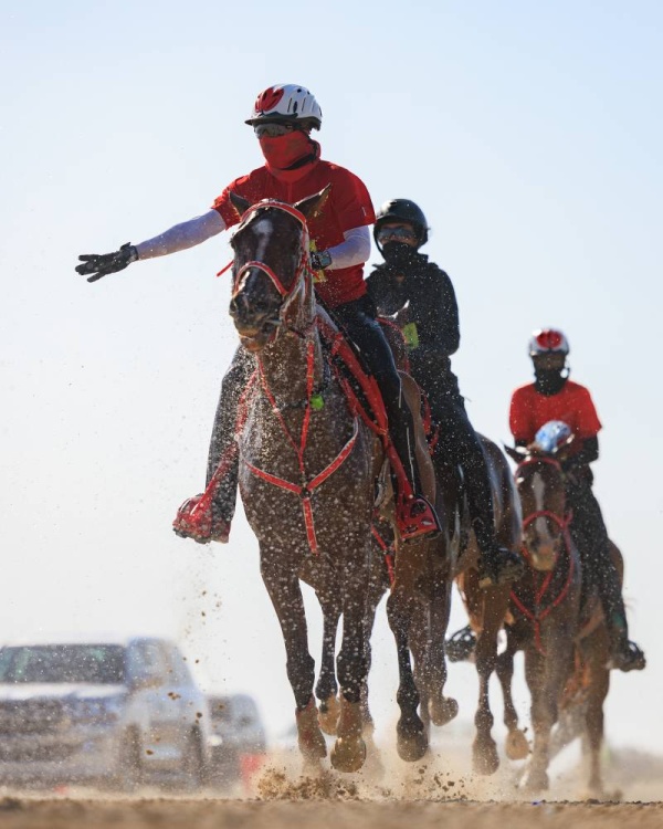 برعاية العاهل.. غداً السباق الكبير على كأس الملك للقدرة لمسافة 160 كم