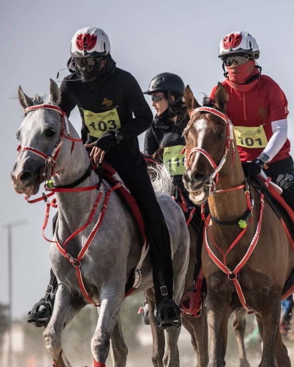 برعاية العاهل.. غداً السباق الكبير على كأس الملك للقدرة لمسافة 160 كم