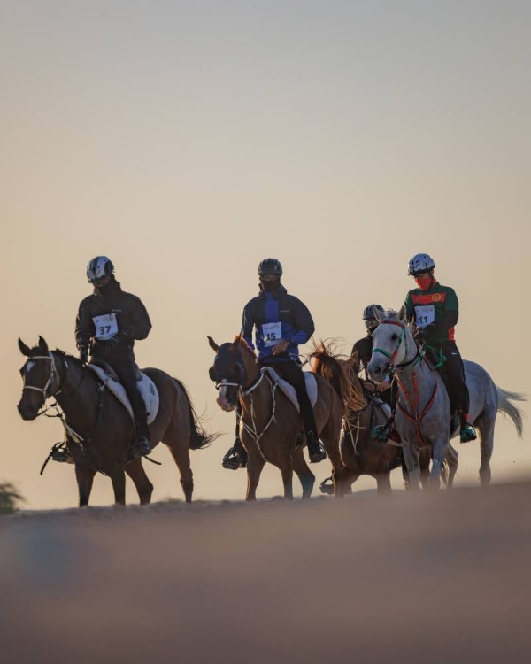 برعاية العاهل.. غداً السباق الكبير على كأس الملك للقدرة لمسافة 160 كم