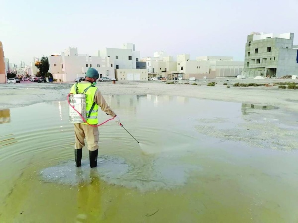 هجرس لـ «بلديات»: بحيرة اللوزي مزرعة للبعوض والرش «بنج موضعي»