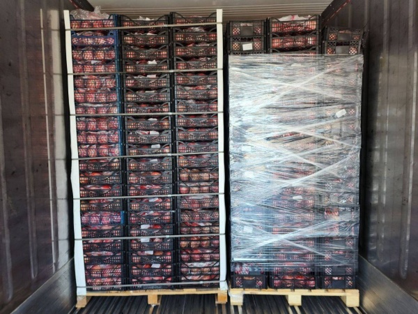 السعودية: ضبط أكثر من 12.7 مليون قرص من الإمفيتامين المخدر