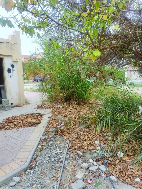 حديقة سافرة مهملة.. و&laquo;الزلاق&raquo; بلا إضاءة