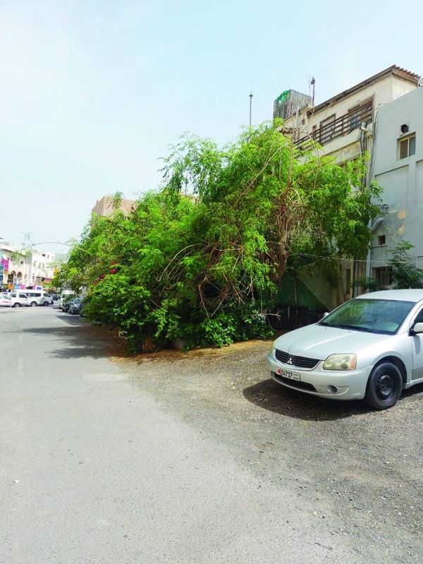 حديقة سافرة مهملة.. و&laquo;الزلاق&raquo; بلا إضاءة