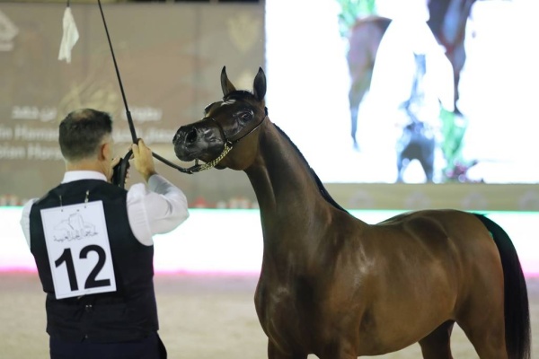 عيسى بن عبدالله يشهد انطلاق بطولة فيصل بن حمد لجمال الخيل العربية