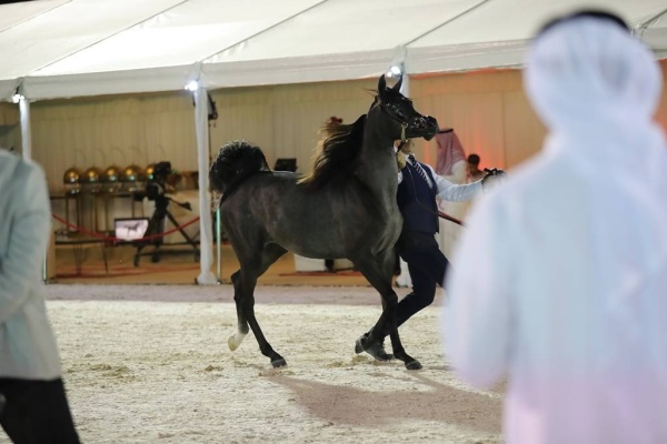 عيسى بن عبدالله يشهد انطلاق بطولة فيصل بن حمد لجمال الخيل العربية