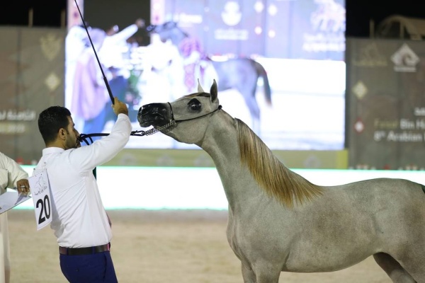 عيسى بن عبدالله يشهد انطلاق بطولة فيصل بن حمد لجمال الخيل العربية
