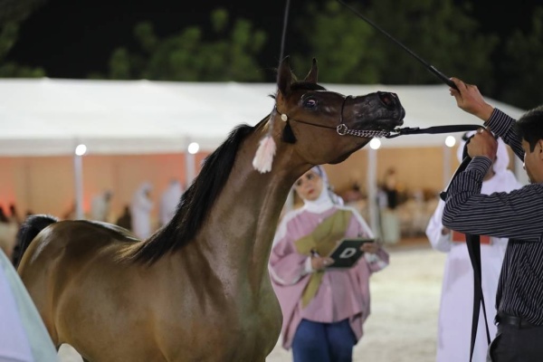 عيسى بن عبدالله يشهد انطلاق بطولة فيصل بن حمد لجمال الخيل العربية