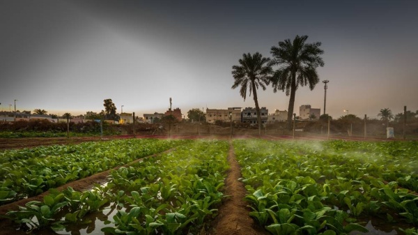 «غلوبال داتا»: البحرين بالمركز التاسع في الشرق الأوسط بتوافر الأمن الغذائي