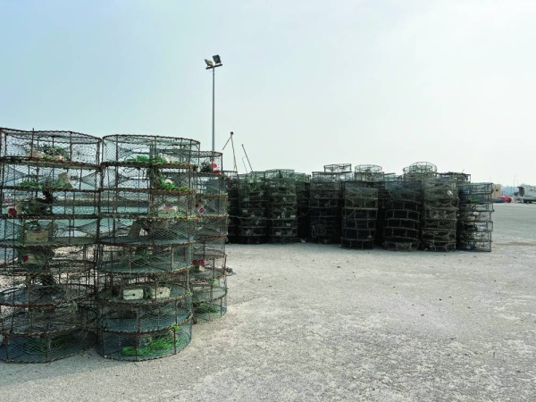 &laquo;الوطن&raquo; تزور القرية وتستمع للأهالي.. سماهيج بلا أرصفة.. ومرفأ بلا كهرباء وخدمات