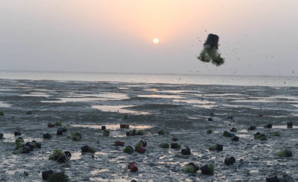 "الحيه بيه" عادة تراثية شعبية استمرت بفضل تمسك أبناء البحرين بعاداتهم وتقاليدهم