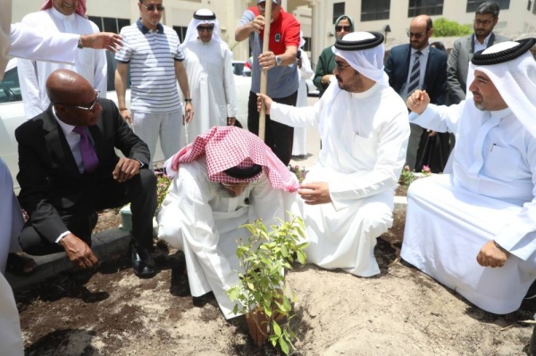 بلدية الجنوبية  الحكمة للمتقاعدين يغرسون 200 شتلة ضمن حملة "سواعد"