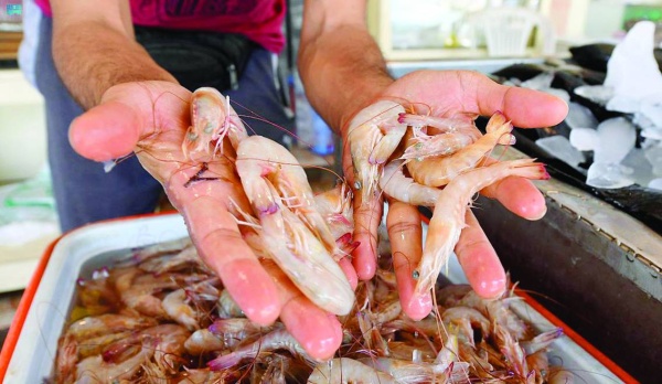 تجّار لـ"الوطن": 3 دنانير لكيلو الروبيان مع بدء السّماح بصيده