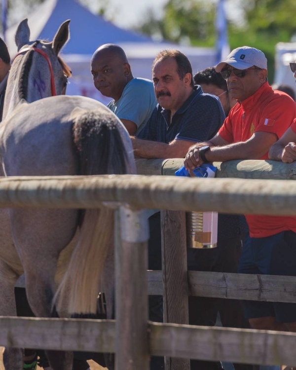 5 فرسان يحملون راية الفريق الملكي للقدرة في بطولة العالم للناشئين والشباب بفرنسا