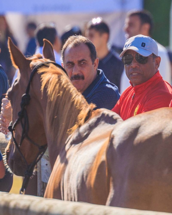 5 فرسان يحملون راية الفريق الملكي للقدرة في بطولة العالم للناشئين والشباب بفرنسا