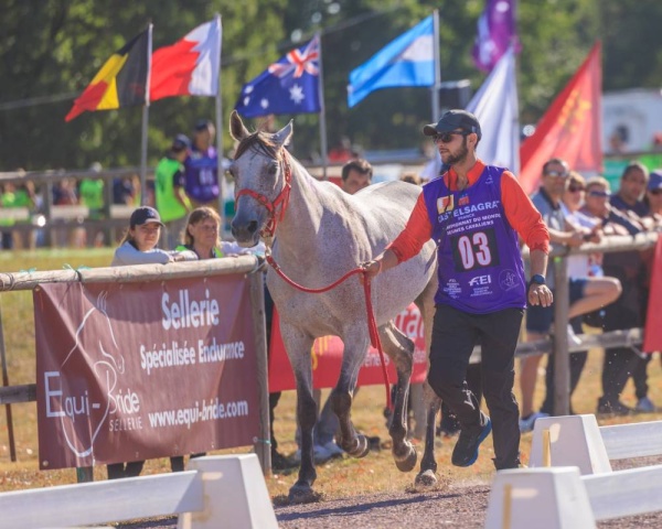 5 فرسان يحملون راية الفريق الملكي للقدرة في بطولة العالم للناشئين والشباب بفرنسا