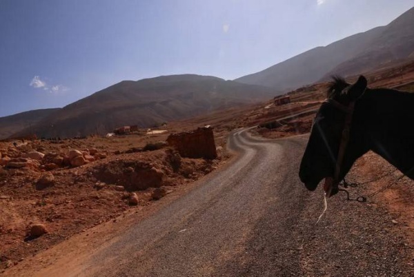 الحمير.. وسيلة يتيمة لإغاثة القرى المعزولة في المغرب