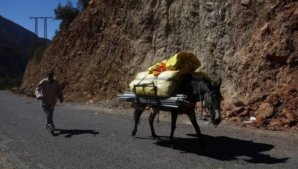 الحمير.. وسيلة يتيمة لإغاثة القرى المعزولة في المغرب