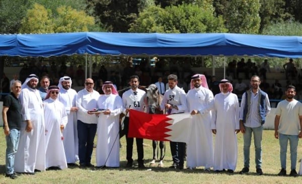 فريق الاتحاد الملكي البحريني للفروسية يختتم مشاركته في بطولة الشرق الأوسط لجمال الخيل العربية