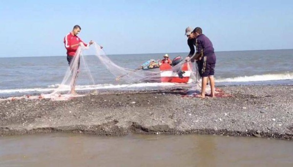 الصيد بشباك الجر.. جريمة مدمرة في البحر المتوسط