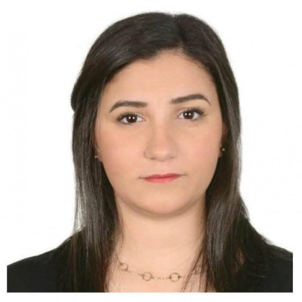 تأثير الفن على عجلة الاقتصاد القومي