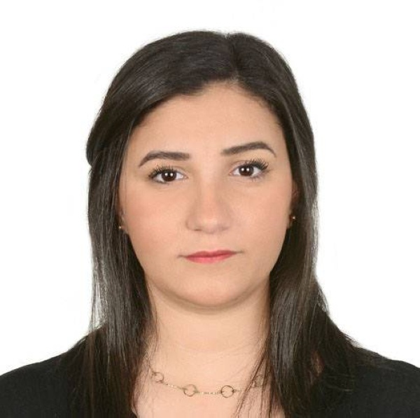 تأثير الفن على عجلة الاقتصاد القومي