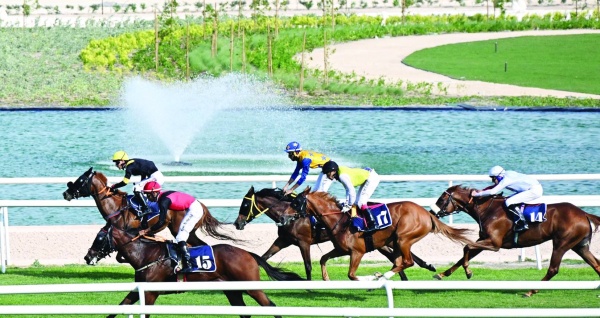 الفارس عبدالرحيم جاسم يتألق في السباق الثالث للخيل