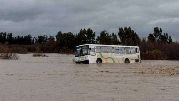 الجزائر.. وفاة وإنقاذ عشرات المواطنين جراء أمطار غزيرة