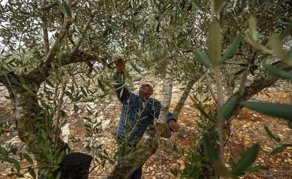 جنوبيون يستغلون هدنة الـ4 أيام.. «أين نذهب؟ هذه أرضنا وهذا بيتنا.. نحن باقون هنا ولن نرحل»  (صور)