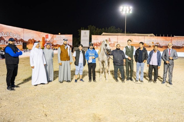 وسط منافسة عالية وجماليات بارزة للجياد..عروض بارزة وجادة في منافسات اليوم الثاني لجمال الخيل