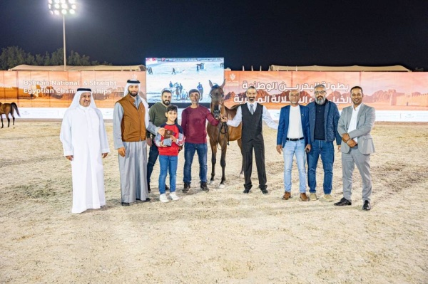 وسط منافسة عالية وجماليات بارزة للجياد..عروض بارزة وجادة في منافسات اليوم الثاني لجمال الخيل