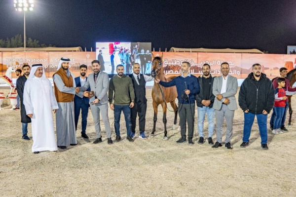 وسط منافسة عالية وجماليات بارزة للجياد..عروض بارزة وجادة في منافسات اليوم الثاني لجمال الخيل