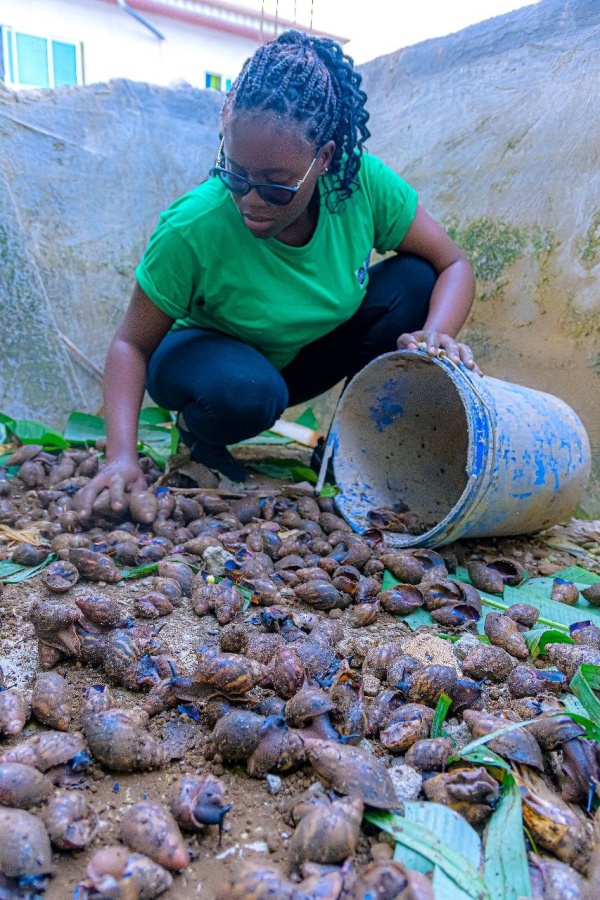 ضمن فعاليات جناح الأديان في COP28.. مجلس حكماء المسلمين يدعم 4 مشروعات دوليَّة للشباب في مجال المناخ