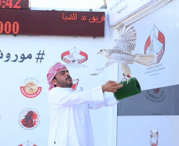 صقارو الإمارات يسيطرون على أشواط الجيرات في بطولة ناصر بن حمد الدولية للصقور&nbsp;