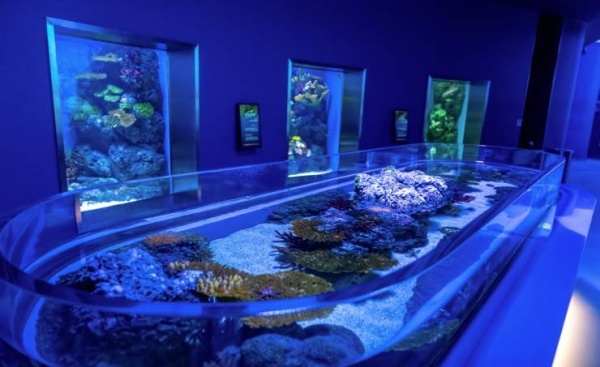 مشروع "مراسي جاليريا".. وجهة جديدة جذابة على الخارطة السياحية في البحرين