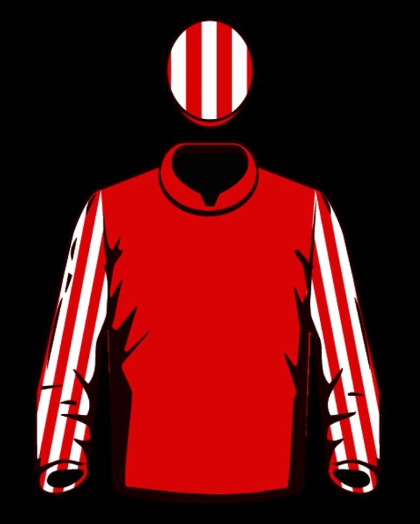 6 مشاركات للجياد البحرينية في أكبر وأغلى سباقات الخيل العالمية