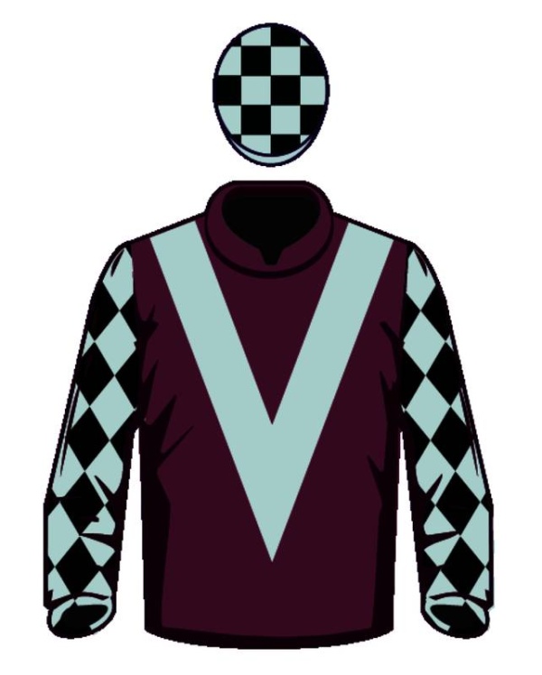 6 مشاركات للجياد البحرينية في أكبر وأغلى سباقات الخيل العالمية