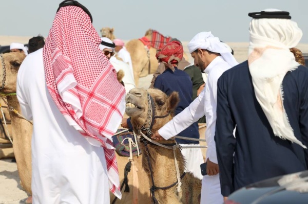 فريق &laquo;الكري&raquo; يواصل تألقه في سباق الهجن التراثي الثاني للركبي البشري