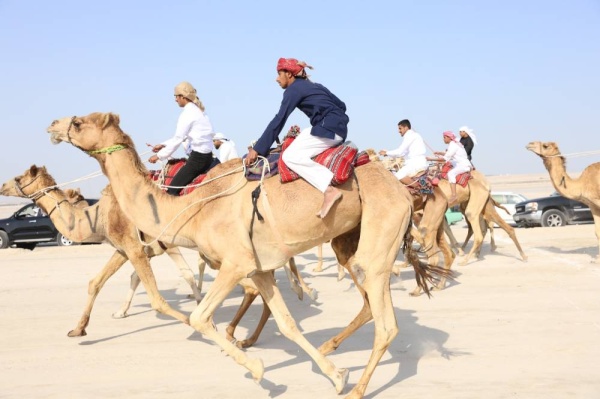 فريق &laquo;الكري&raquo; يواصل تألقه في سباق الهجن التراثي الثاني للركبي البشري