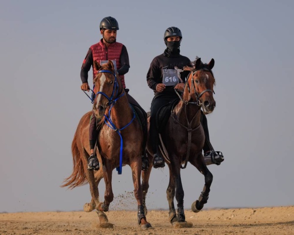 انطلاق كأس ناصر بن حمد لـ"القدرة" و3 سيارات كجوائز