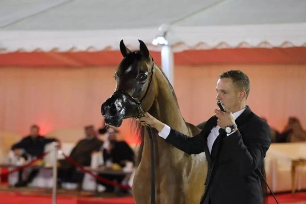 تحت رعاية ناصر بن حمد.. انطلاق بطولة البحرين للإنتاج المحلي.. الخميس