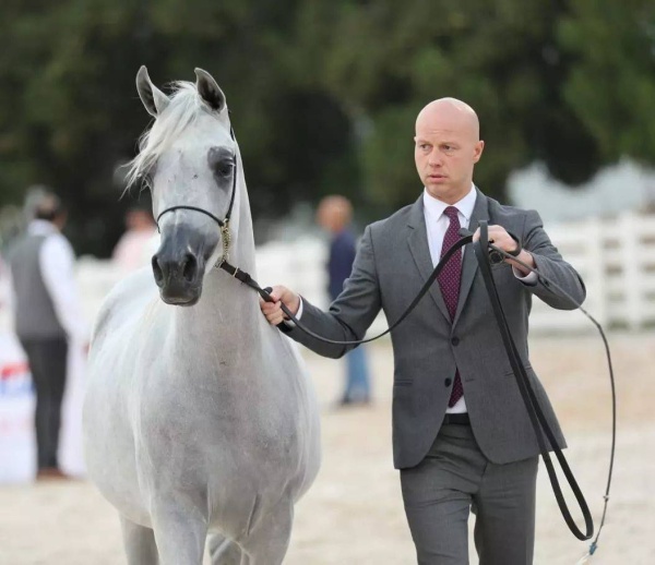 تحت رعاية ناصر بن حمد.. انطلاق بطولة البحرين للإنتاج المحلي.. الخميس