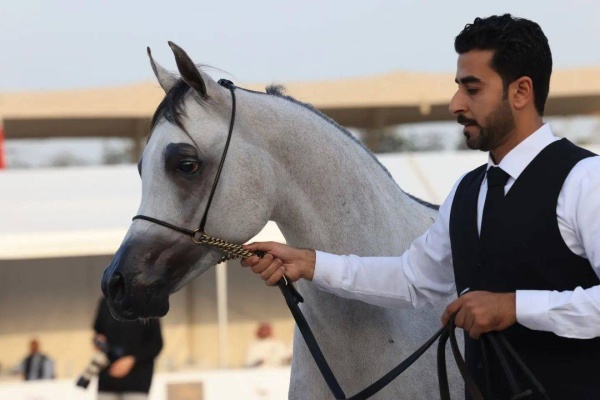 تحت رعاية ناصر بن حمد.. انطلاق بطولة البحرين للإنتاج المحلي.. الخميس