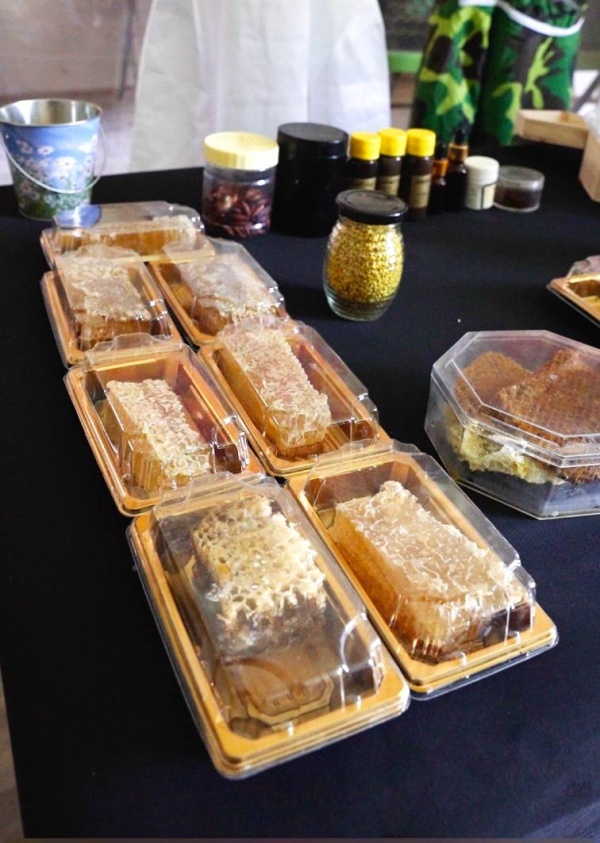 جمعة حمادة: أُربّي النحل منذ 30 سنة وابنتي ورثتني