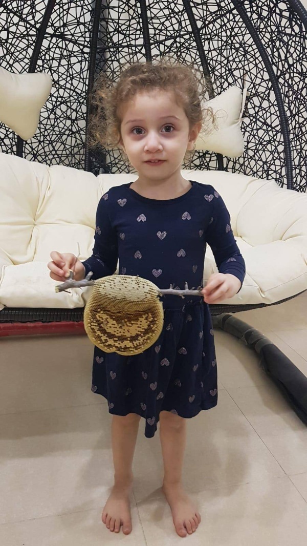 جمعة حمادة: أُربّي النحل منذ 30 سنة وابنتي ورثتني