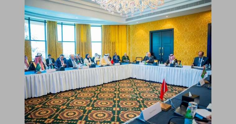 وزير الخارجية يشارك في اجتماع هيئة متابعة تنفيذ القرارات...